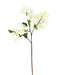 Hvit Kunstig Bougainvillea Gren 68Cm