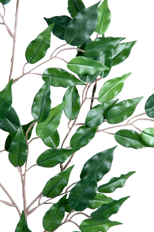 Kunstig Ficus-Gren H.65Cm Til Dekorasjon