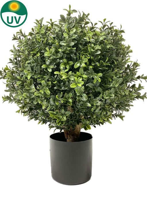 Buxus - Kunstig Buksbom