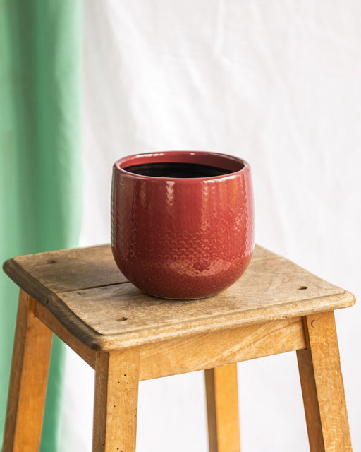 Bari Bordeaux Cache Pot