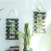 Paleta Wood Veggplanter