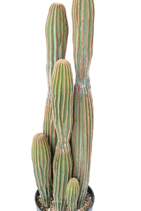 Artificial Cactus 6 Trunks For Innendørs H.95Cm Grønn