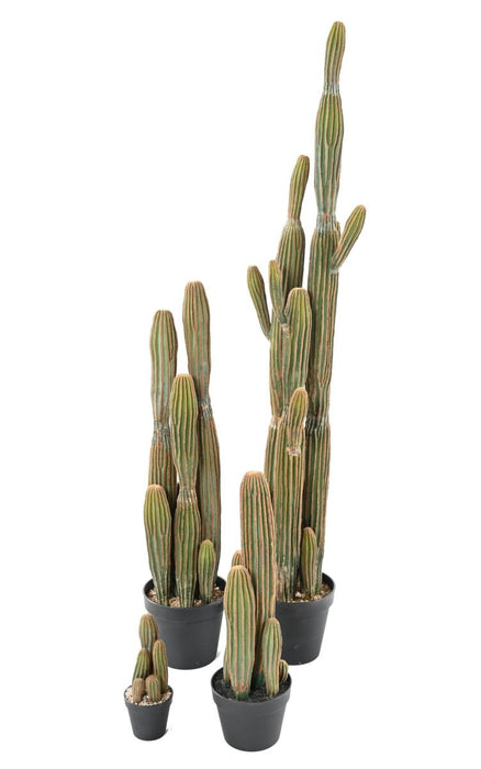 Artificial Cactus 6 Trunks For Innendørs H.95Cm Grønn