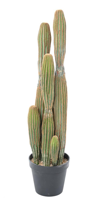 Artificial Cactus 6 Trunks For Innendørs H.95Cm Grønn