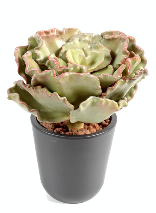 Kunstig Kaktus Crassula Echeveria 25 Cm Å Sy