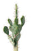 Flat Artificial Cactus 75 Cm For Innendørs Grønn