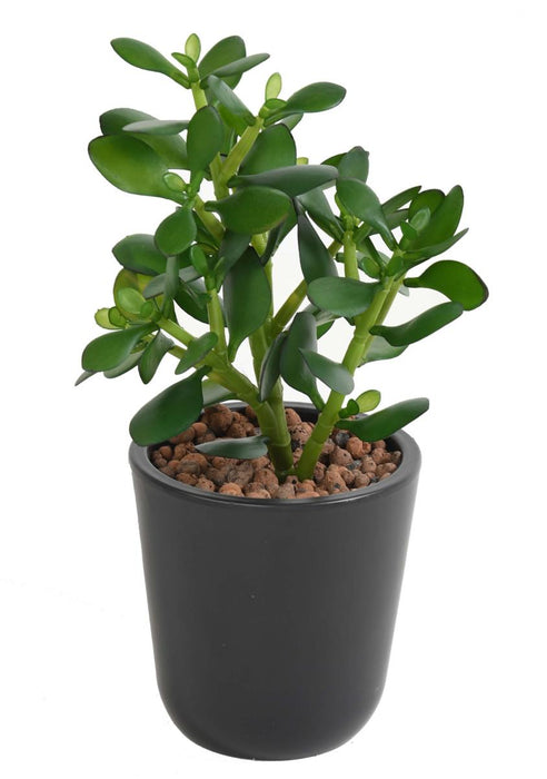 Kunstig Crassula Jade-Kaktus På Innsats 38 Cm