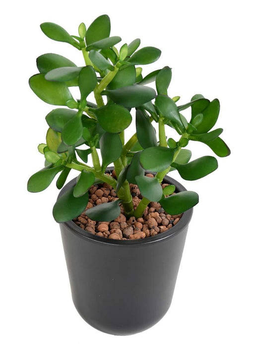 Kunstig Crassula Jade-Kaktus På Innsats 38 Cm