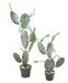 Kunstig Opuntia Cactus For Innendørs 120Cm Grønn