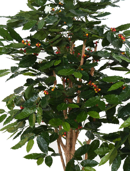 Kunstig Kaffetre Med Blomster Og Knudret Stamme 175 Cm