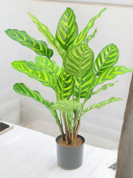 Calathea Makoyana - Kunstig Grønn Plante