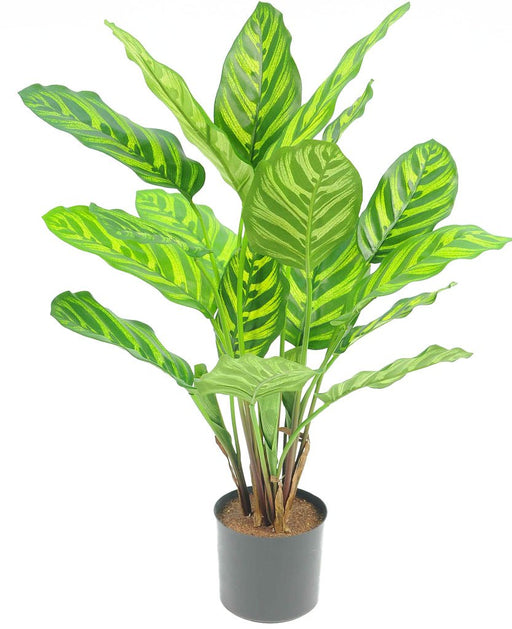 Calathea Makoyana - Kunstig Grønn Plante