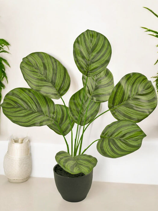 Calathea - Kunstig Grønn Plante