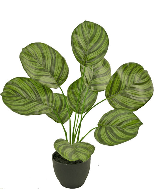 Calathea - Kunstig Grønn Plante