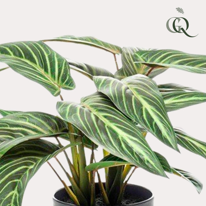 Calathea Zebrina Kunstig Plante - H38Cm, Ø15Cm