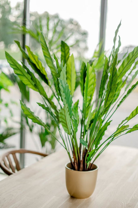 Calathea - Stor Kunstig Plante