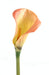 Kunstig Calla Lily 90 Cm Rosa Oransje Dekor