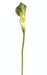 Kunstig Calla Lily 90 Cm Verdi Dekorativ