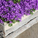 Campanula Addenda - 12 Vinterfiolett Hageplanter