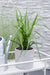 Carex, Sett Med 5 Planter - H30Cm, Ø14Cm - Uteplanter