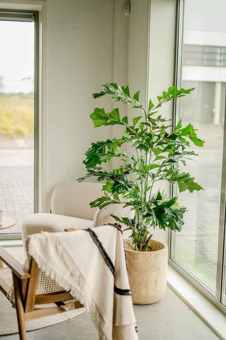 Caryota Mitis - Stor Kunstig Plante