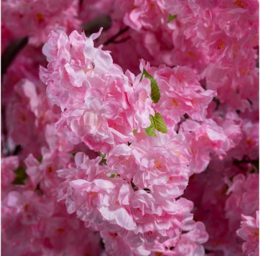 Kunstig Kirsebærblomst 230 Cm Interiørdekorasjon