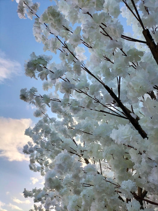 Kunstig Japansk Kirsebærtre I Blomst 350 Cm Hvit