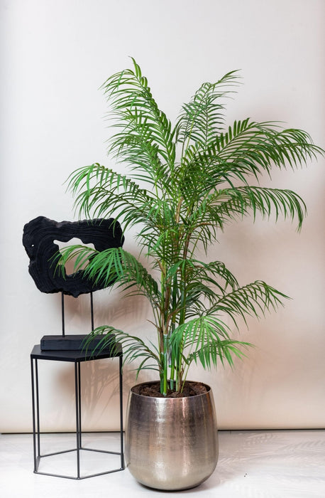 Chamaedorea Elegans Kunstig Plante - H120Cm, Ø12Cm