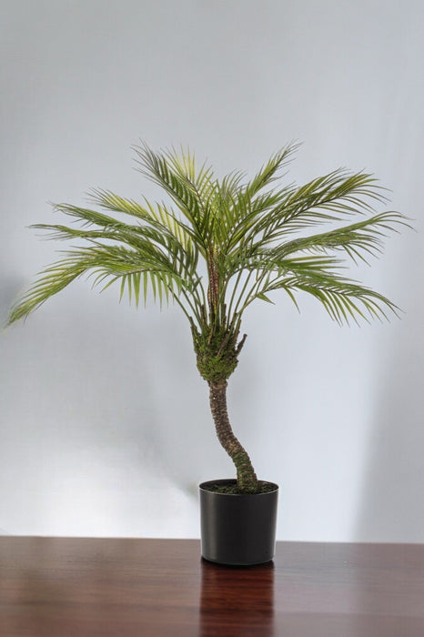 Chamaedorea Kunstig Plante - H85Cm, Ø12Cm