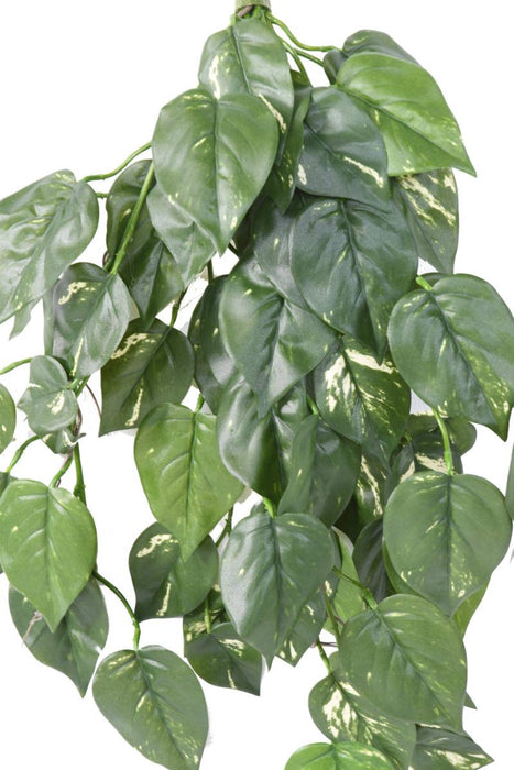 UV-Bestandig Kunstig Pothos Fall 75Cm