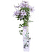 Clematite Boulevard® Samaritan Jo ™ - ↨65Cm - Ø15 - Klatreblomstrende Utendørsplante