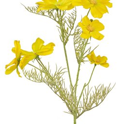 Yellow Cosmos - Kunstig Blomstergren