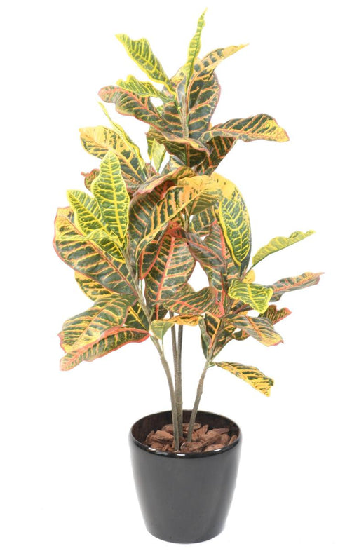 Kunstig Croton H.100Cm For Interiørdekorasjon