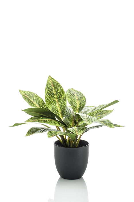 Croton Codiaeum Kunstig Plante - H38Cm, Ø15Cm