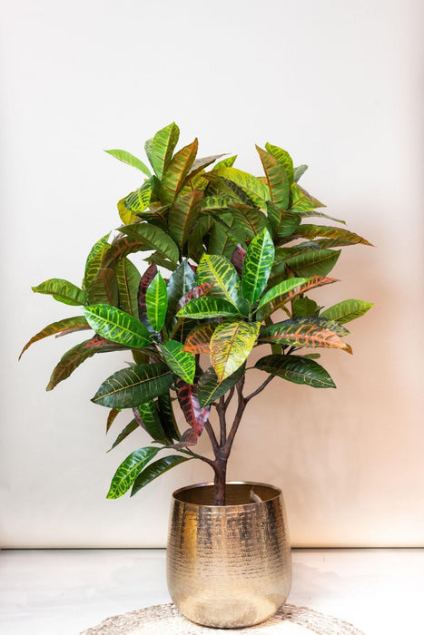 Croton Codiaeum Kunstig Plante - H120Cm, Ø14Cm