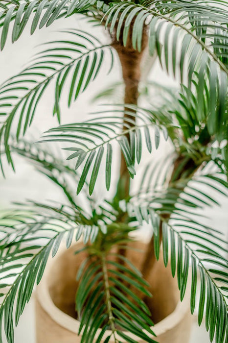 Cycas - Kunstig Palme