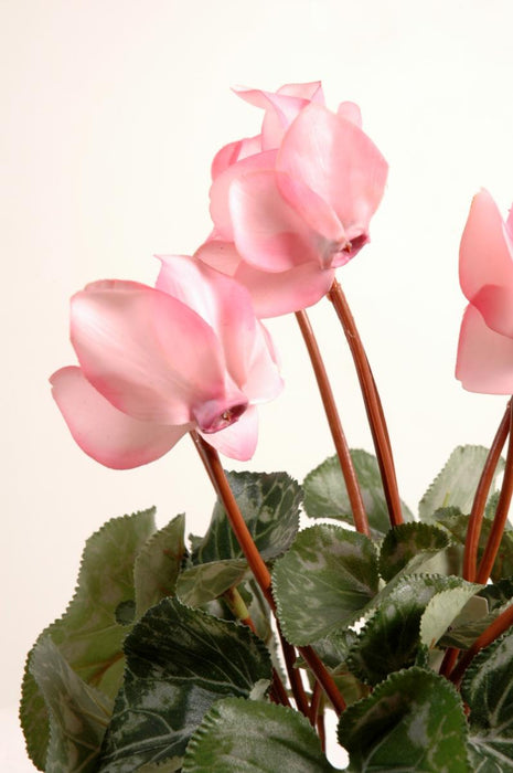 Kunstig Cyclamen Rosa 32 Cm På Stake