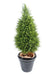 Kunstig Cypress Juniperus 160Cm Grønn Gul