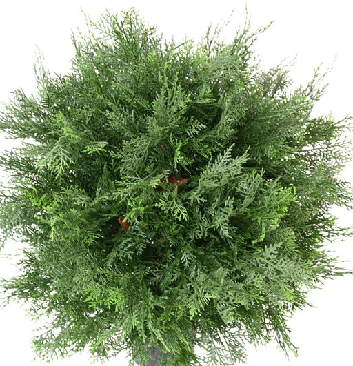 Kunstig Lawson Cypress 70Cm UV-Vektet Pot