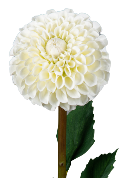 Kunstig Dahlia-Stamme 96Cm Kremblomsterdekorasjon