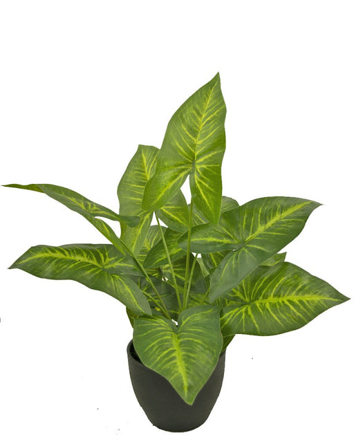 Dieffenbachia - Kunstig Grønn Plante