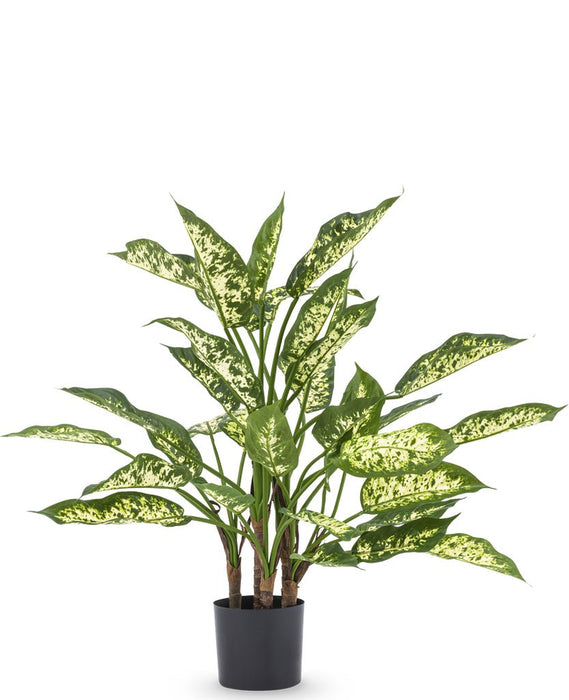 Dieffenbachia - Kunstig Grønn Plante