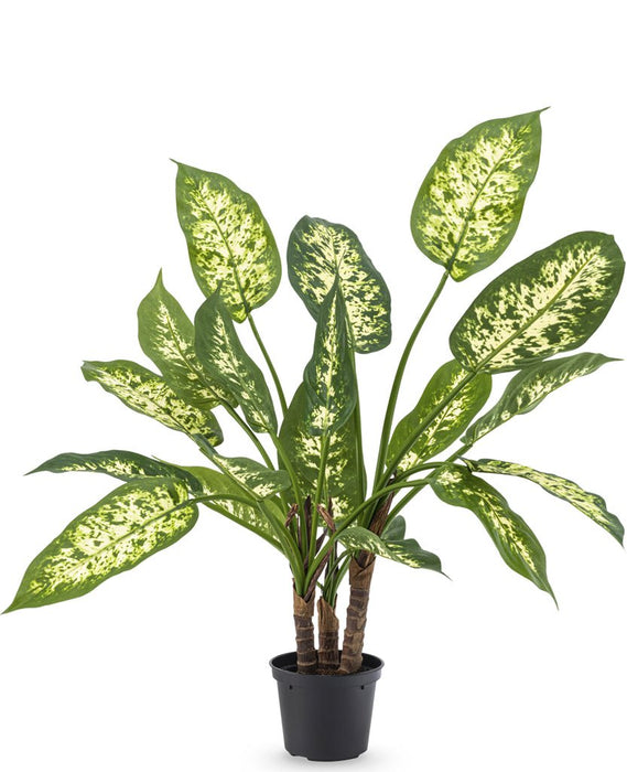 Dieffenbachia - Kunstig Grønn Plante