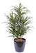 Grønn Kunstig Dracaena 75 Cm For Interiørdekorasjon