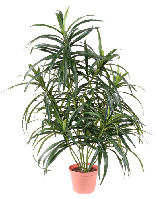 Grønn Kunstig Dracaena 75 Cm For Interiørdekorasjon