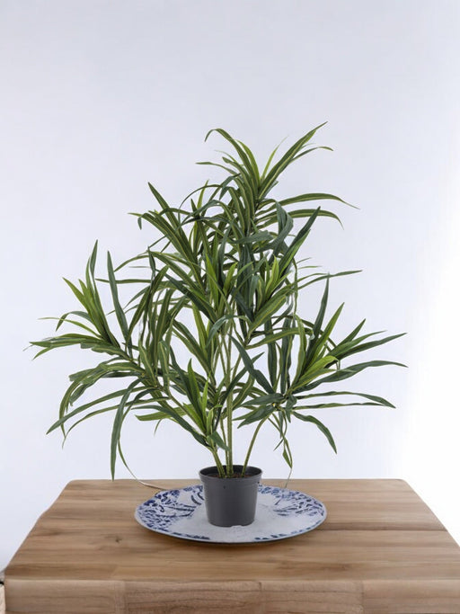 Dracaena Reflexa - Kunstig Grønn Plante