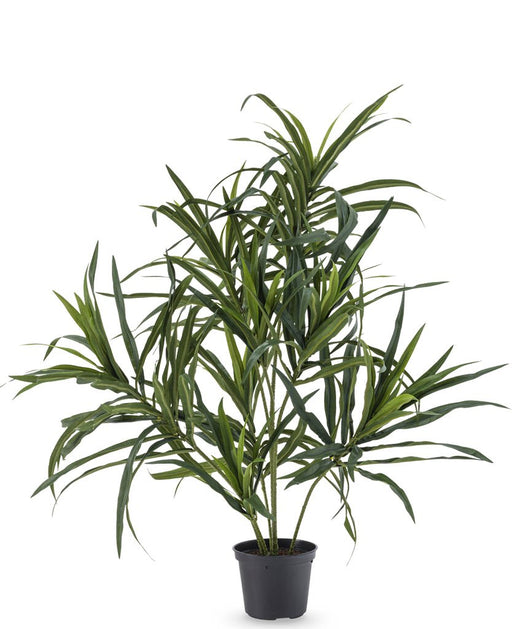 Dracaena Reflexa - Kunstig Grønn Plante