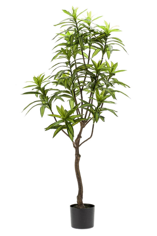 Dracaena Kunstig Plante - H130Cm, Ø14Cm