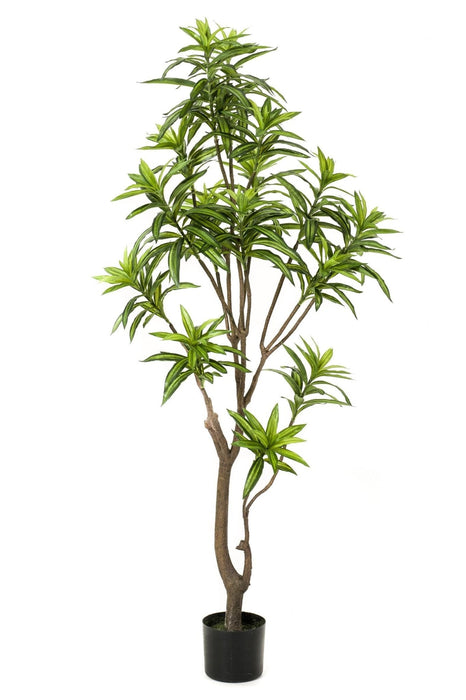 Dracaena Kunstig Plante - H160Cm, Ø12Cm