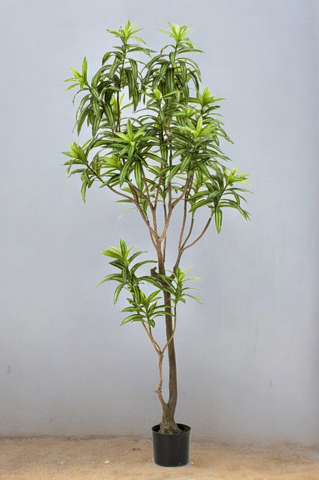 Dracaena Kunstig Plante - H190Cm, Ø17Cm